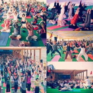 International Yoga Festival, India 2016